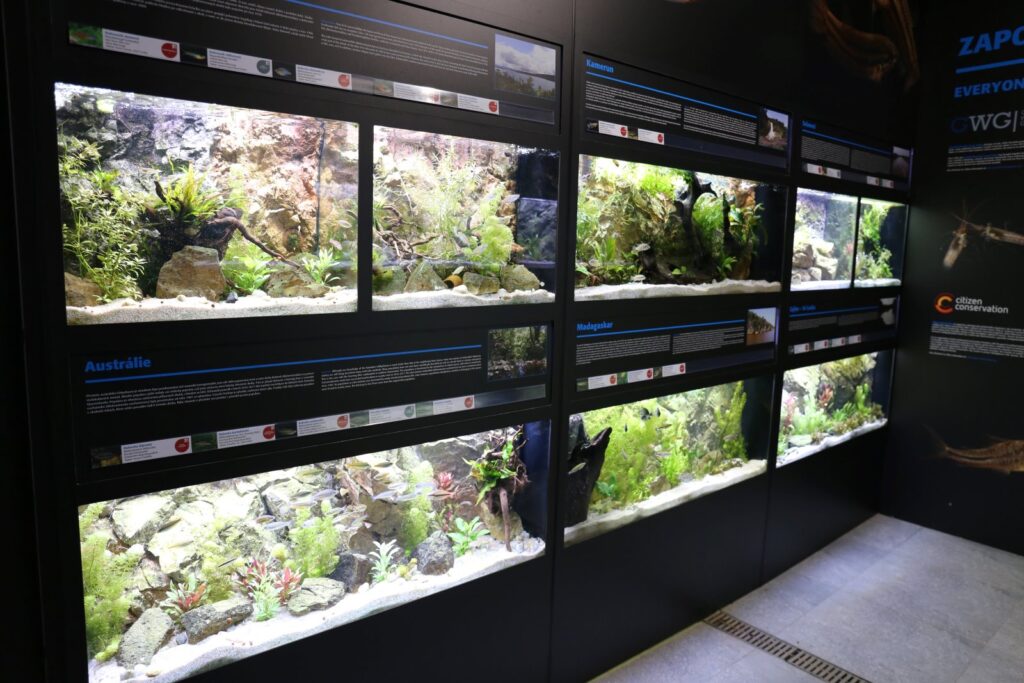 Rybí archa  – nová akvarijní expozice v Zoo Plzeň