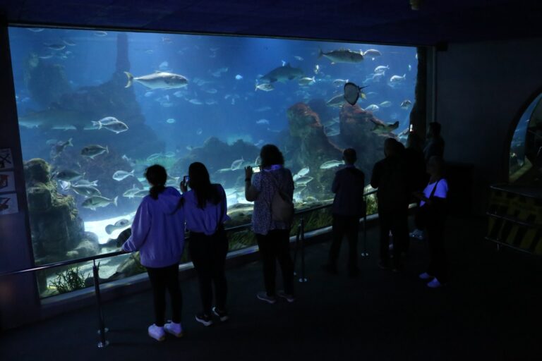 L’Aquàrium Barcelona (2)