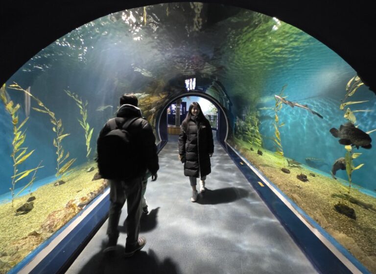 Korejská Akvária: Gyeongpo Aquarium