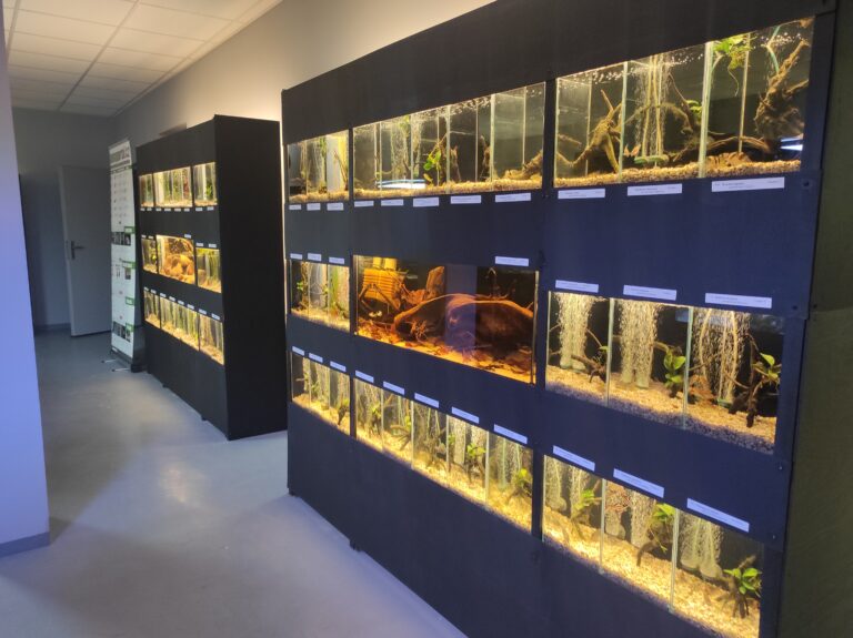 46. ročník AkvaEXPO Rychnov nad Kněžnou