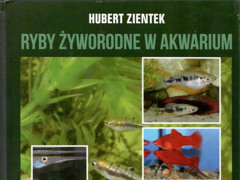 Hubert Zientek: Ryby żyworodne w akwarium